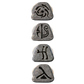 Rift Rune Pack