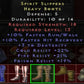 Spirit Slippers 10 FRW 10 FHR 3 DEX 22 CR 21 FR 19 PR LVL 13