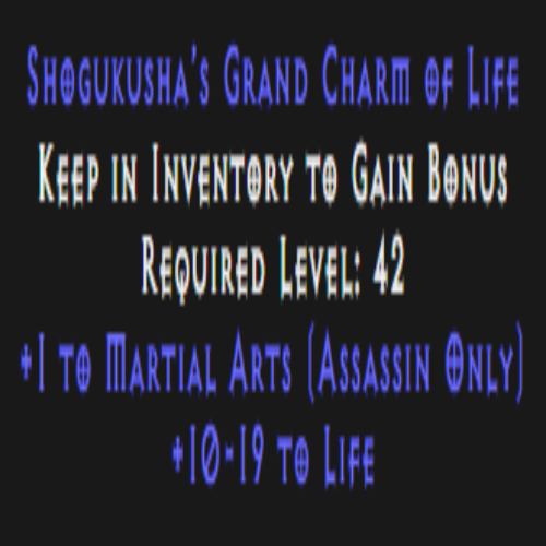 Assassin Martial Arts Skiller 10-19 Life Description