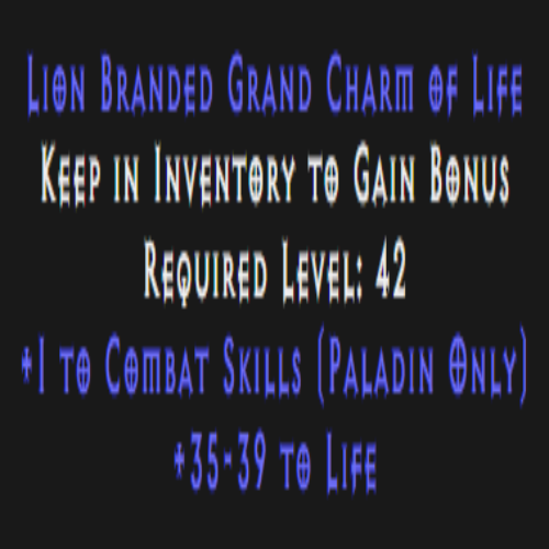 Paladin Combat Skiller 35-39 Life Description